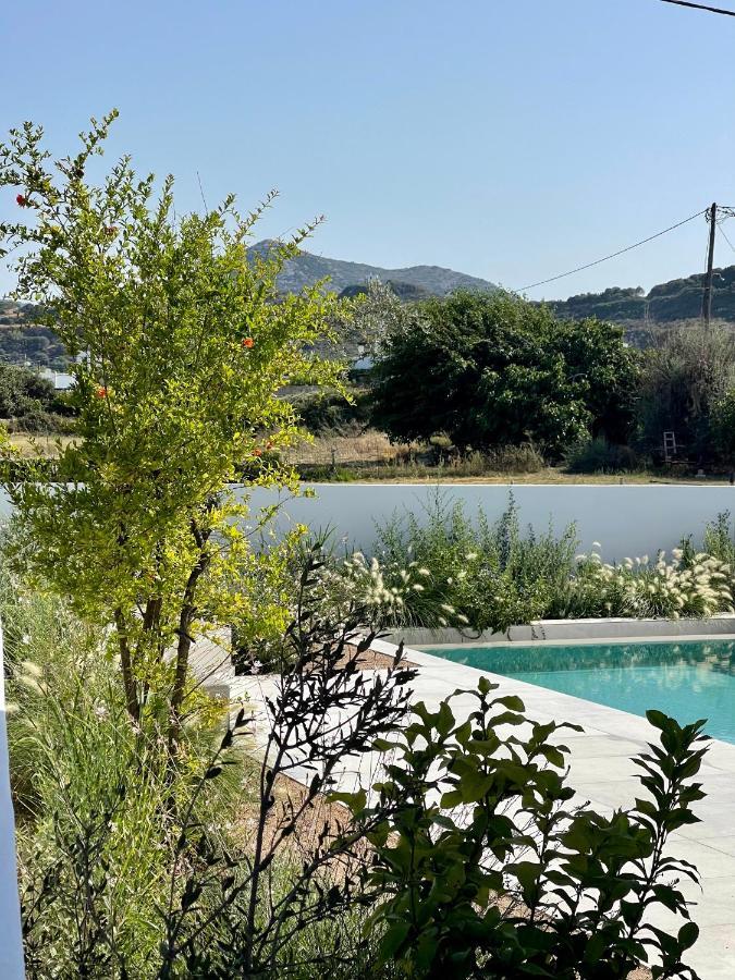 Casa Di Amerissa Premium Accommodation Skyros Exterior foto
